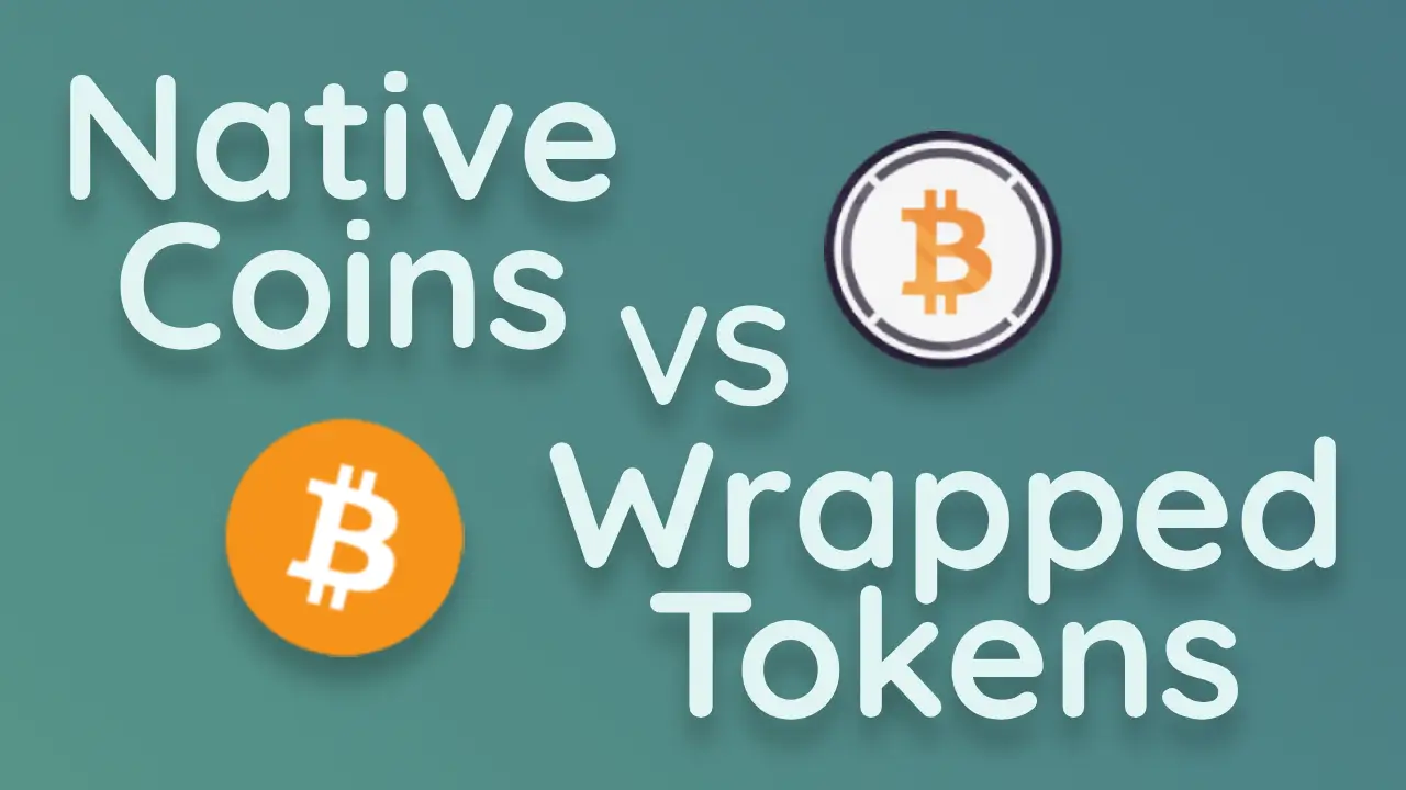 Native Coins vs Wrapped Tokens